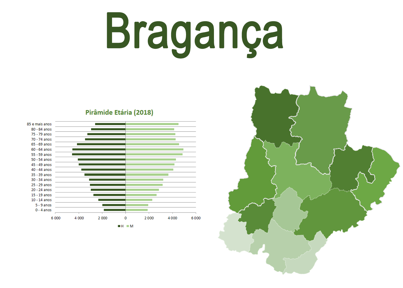 Mapa e Pirâmide etária para o distrito de Bragança